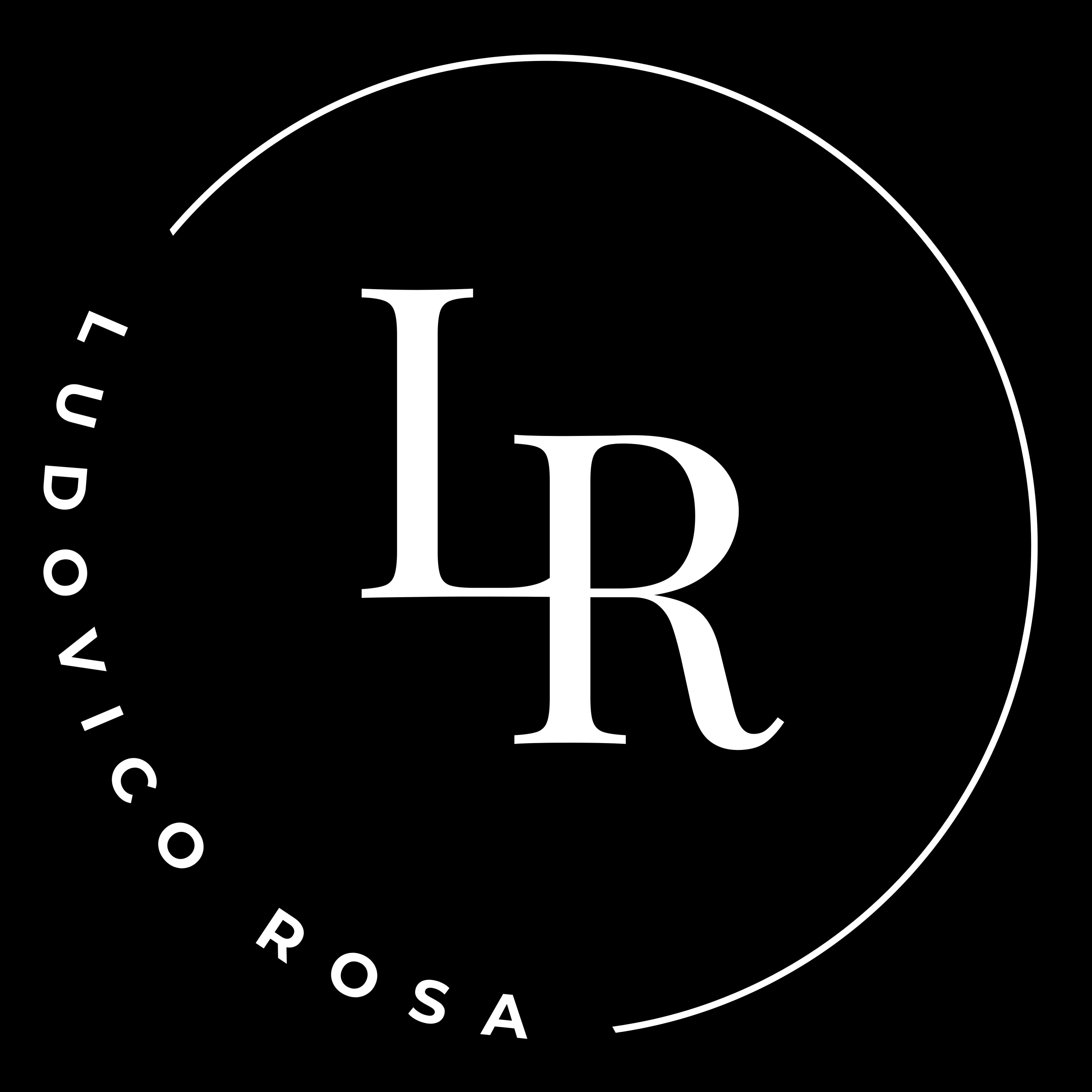 Black and white website logo