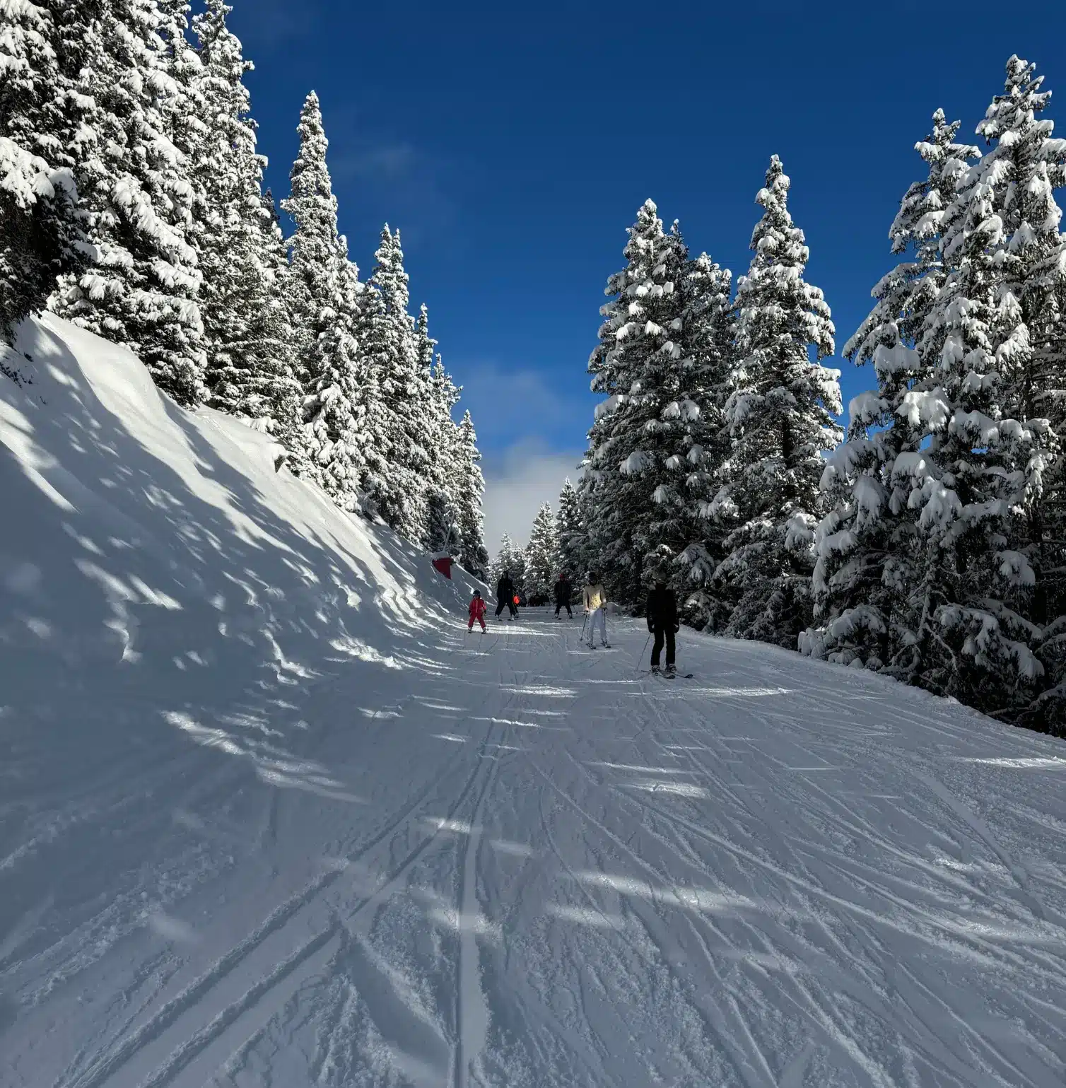 Ski slope in Courchevel 1650 with snowy mountains